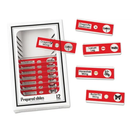 Prepared Slides - Insects PK12 - Modern Teaching Aids NZ