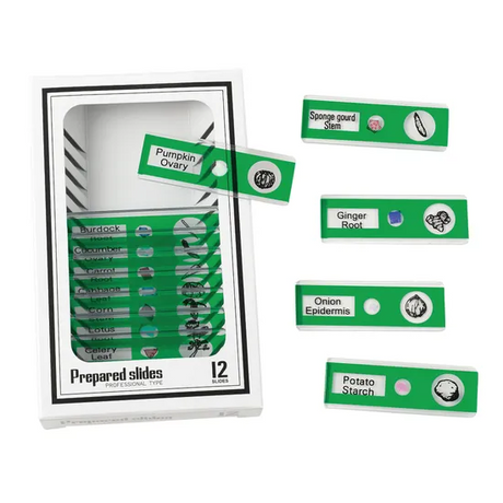 Prepared Slides - Vegetables PK12 - Modern Teaching Aids NZ