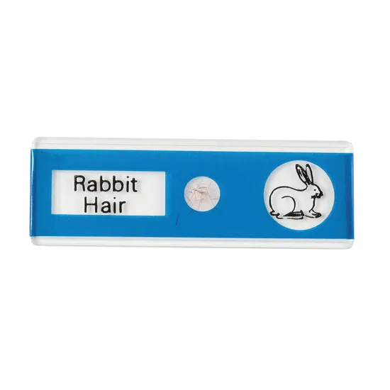 Prepared Slides - Animals PK12 - Modern Teaching Aids NZ