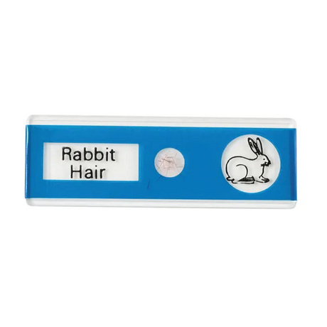 Prepared Slides - Animals PK12 - Modern Teaching Aids NZ