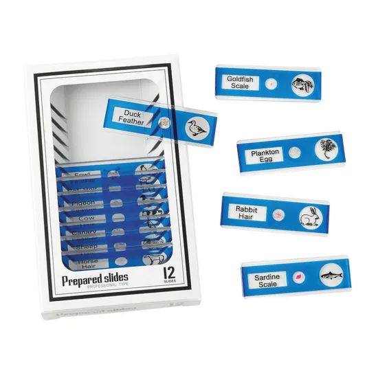 Prepared Slides - Animals PK12 - Modern Teaching Aids NZ