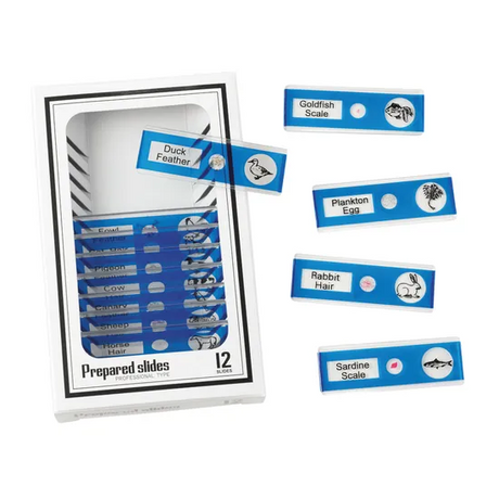 Prepared Slides - Animals PK12 - Modern Teaching Aids NZ