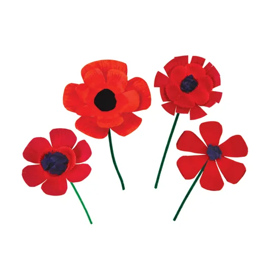 Unwaxed Paper Plates 23cm - Pack of 50 - Modern Teaching Aids NZ