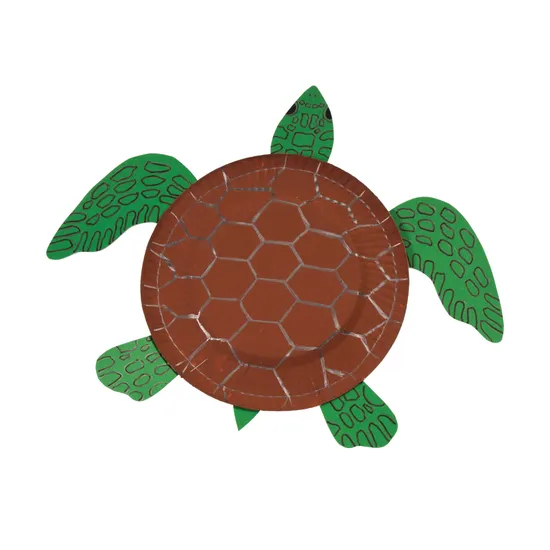 Unwaxed Paper Plates 23cm - Pack of 50 - Modern Teaching Aids NZ