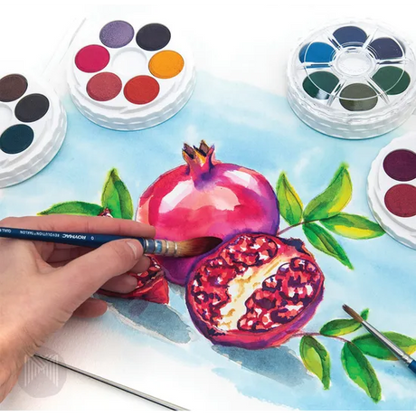 Brilliant Watercolour Discs - 24 Colours - Modern Teaching Aids NZ