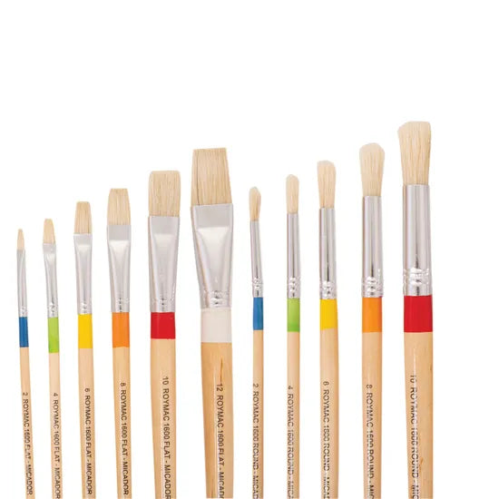 Roymac Bristle Paint Brush Classpack of 168 - Modern Teaching Aids NZ