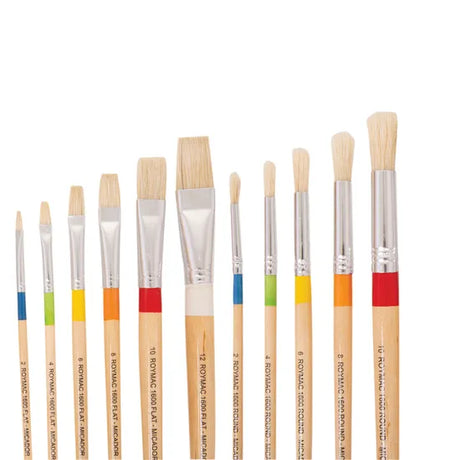Roymac Bristle Paint Brush Classpack of 168 - Modern Teaching Aids NZ