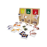 Recycling Bean Bag Game - Modern Teaching Aids NZ
