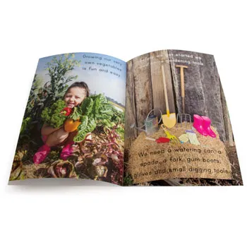 Let's Learn about Vegetable Gardens Big Book - Modern Teaching Aids NZ