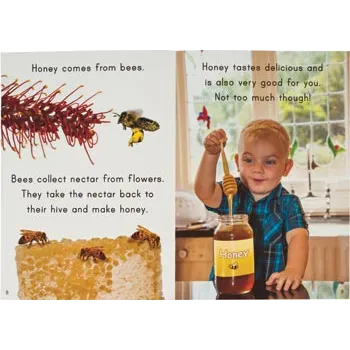 Let's Learn About Our Food Big Book - Modern Teaching Aids NZ