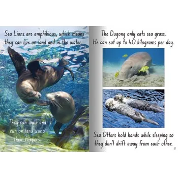 Sea Creatures Big Book - Modern Teaching Aids NZ