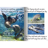 Sea Creatures Big Book - Modern Teaching Aids NZ