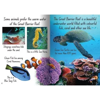 Sea Creatures Big Book - Modern Teaching Aids NZ