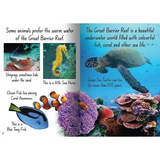 Sea Creatures Big Book - Modern Teaching Aids NZ