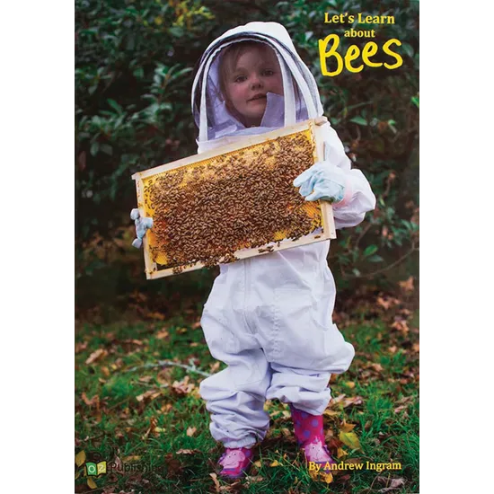 Let's Learn About Bees Big Book - Modern Teaching Aids NZ