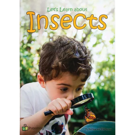 Let's Learn About Insects Big Book - Modern Teaching Aids NZ