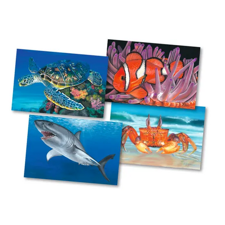 Sea Life Puzzle & Poster Set of 4 - Modern Teaching Aids NZ