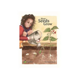 Environment Big Book - Pack of 4 Titles