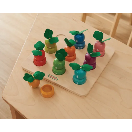 Masterkidz Learning Carrot Farm - 1-9 Numbers, Numeracy Play - Modern Teaching Aids NZ