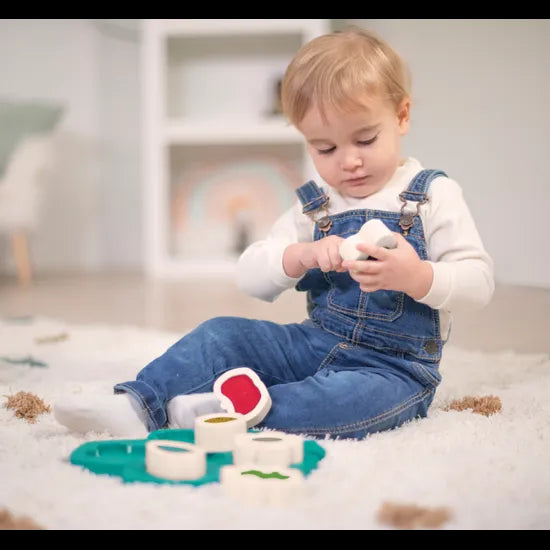 Sorting Puzzle with Sensory Shapes - Modern Teaching Aids NZ