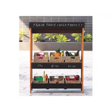 Harmony Education Market Stand with Accessories