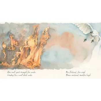 Extreme Weather Book Pack