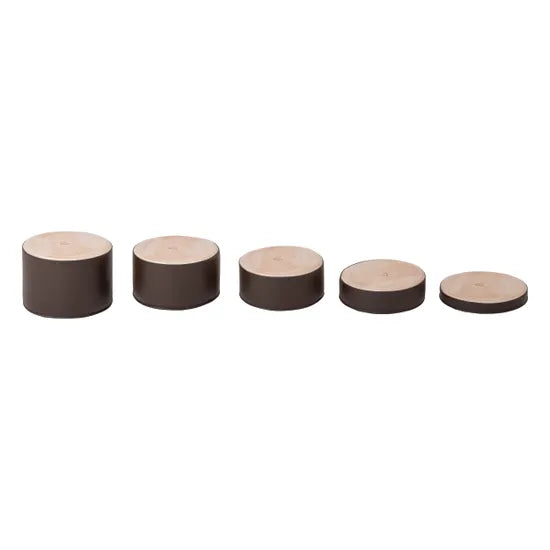 Log Stepping Stones 5 Pieces - Modern Teaching Aids NZ