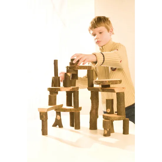 Tree Blocks 36 Pieces Sanded and Oiled - Modern Teaching Aids NZ