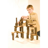 Tree Blocks 36 Pieces Sanded and Oiled - Modern Teaching Aids NZ