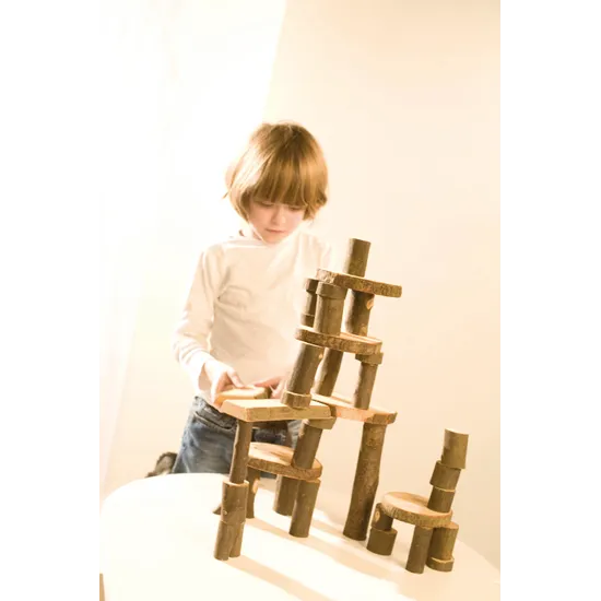 Tree Blocks 36 Pieces Sanded and Oiled - Modern Teaching Aids NZ