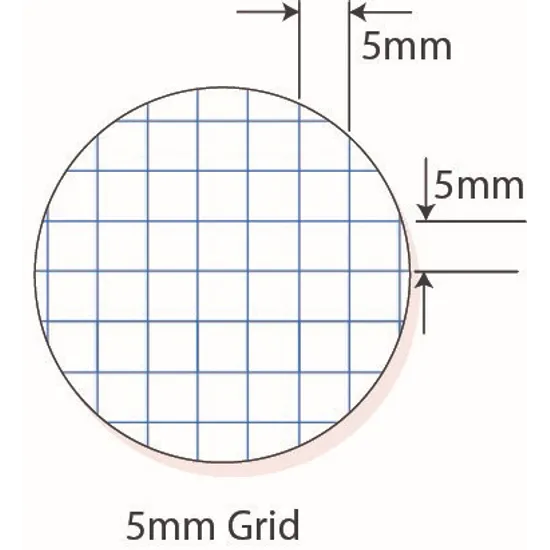 Protext Grid Book A4 5 mm 96p - Modern Teaching Aids NZ