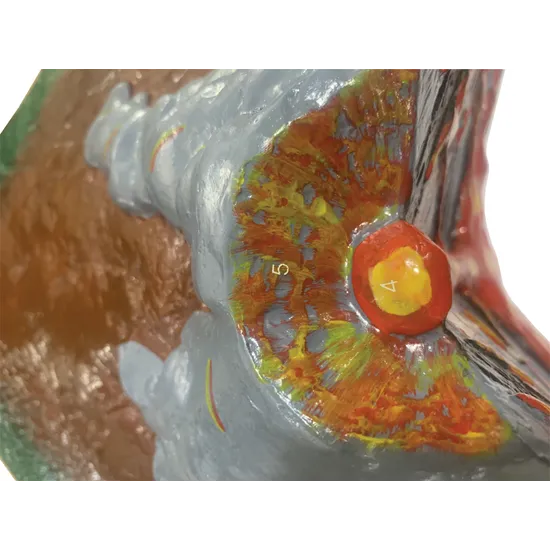 Model of Volcano 43 x 43 x 17cm - Modern Teaching Aids NZ