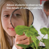 Hand Magnifiers - Pack of 12 - Modern Teaching Aids NZ