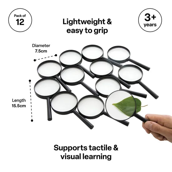 Hand Magnifiers - Pack of 12 - Modern Teaching Aids NZ