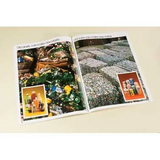 Where Does All The Garbage Go? Big Book - Modern Teaching Aids NZ