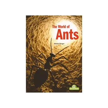The World of Ants Big Book - Modern Teaching Aids NZ