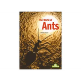 The World of Ants Big Book - Modern Teaching Aids NZ