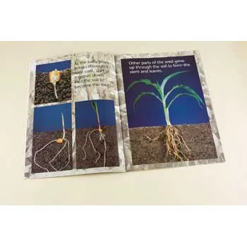 The Vegetable Garden Big Book - Modern Teaching Aids NZ