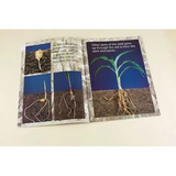 The Vegetable Garden Big Book - Modern Teaching Aids NZ