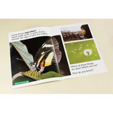 Is It Alive? Big Book - Modern Teaching Aids NZ