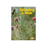 Spinning A Web Big Book - Modern Teaching Aids NZ