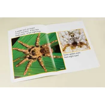 Spinning A Web Big Book - Modern Teaching Aids NZ