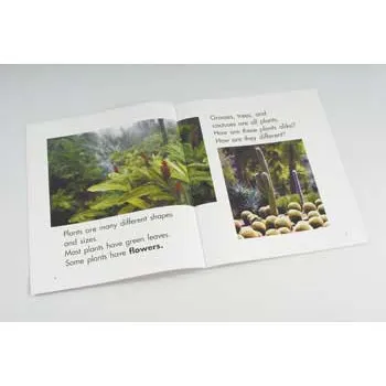 Green And Growing Big Book - Modern Teaching Aids NZ