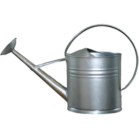 Watering Can Galvanised 5 L Capacity - Modern Teaching Aids NZ