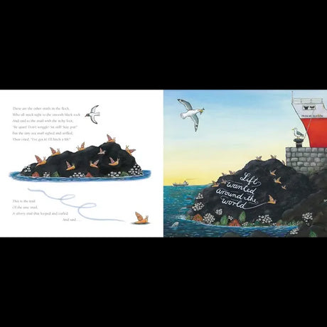 The Snail & the Whale - Modern Teaching Aids NZ