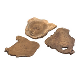 Natural Wood Slices - Set of 3 - Modern Teaching Aids NZ