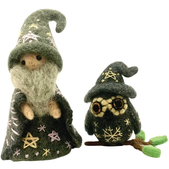 Small Wizard and Owl Companion