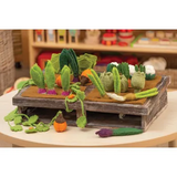 Grow-a-Garden 24 Piecess - Modern Teaching Aids NZ