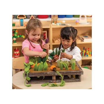 Grow-a-Garden 24 Piecess - Modern Teaching Aids NZ