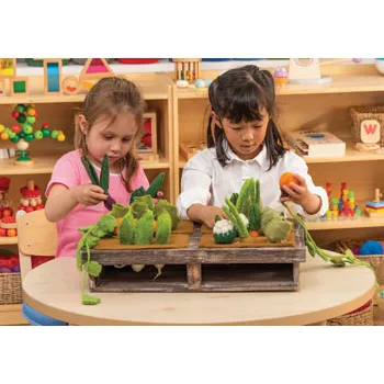 Grow-a-Garden 24 Piecess - Modern Teaching Aids NZ